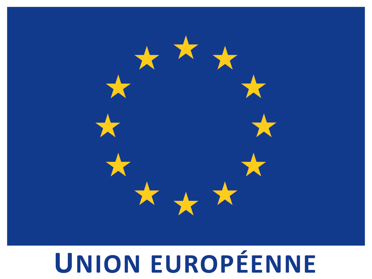 Logo drapeau UE