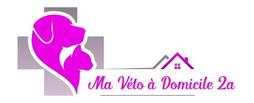 logo mvd2a